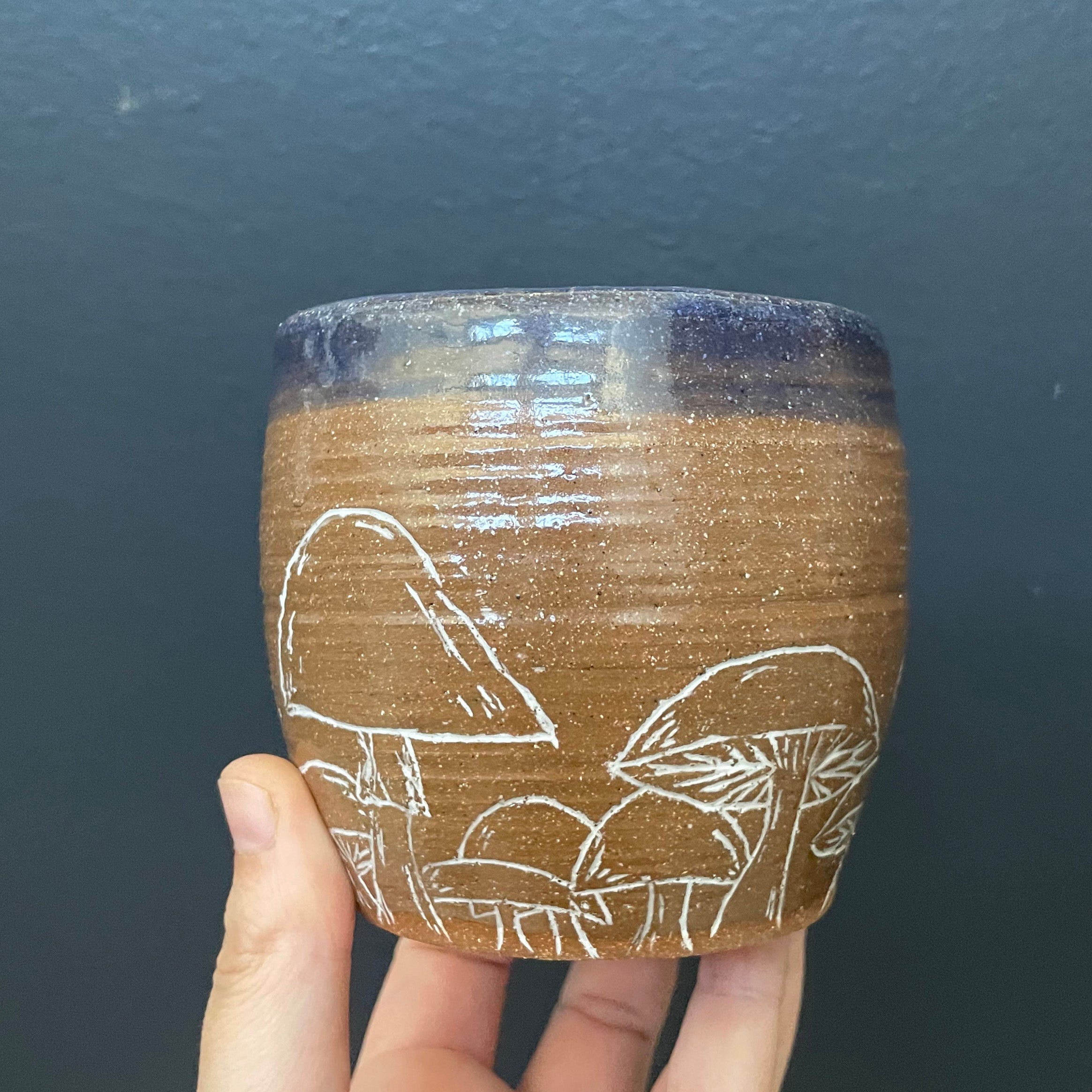 Mushroom Cup No1