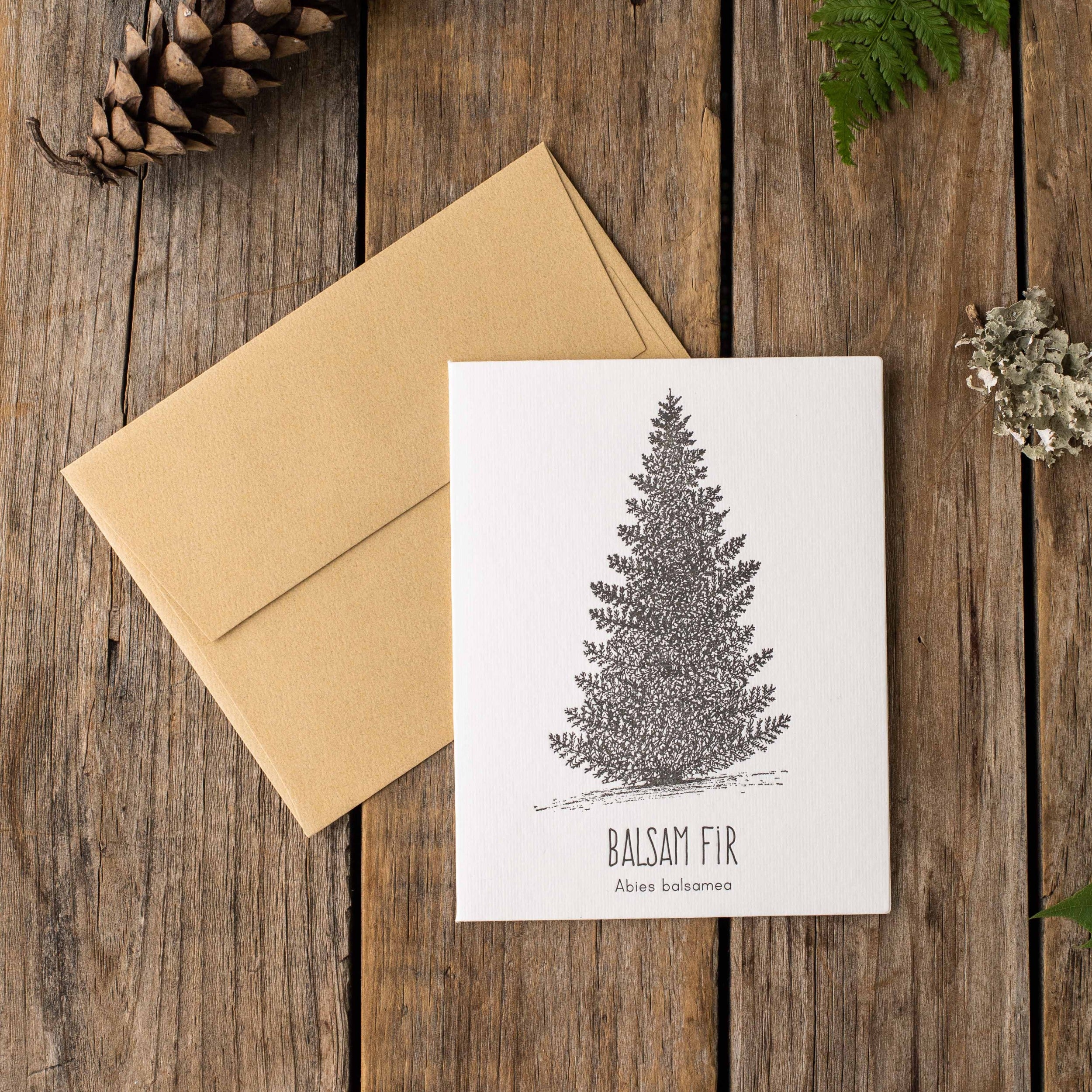 Balsam Fir Letterpress Card