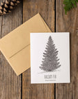 Balsam Fir Letterpress Card