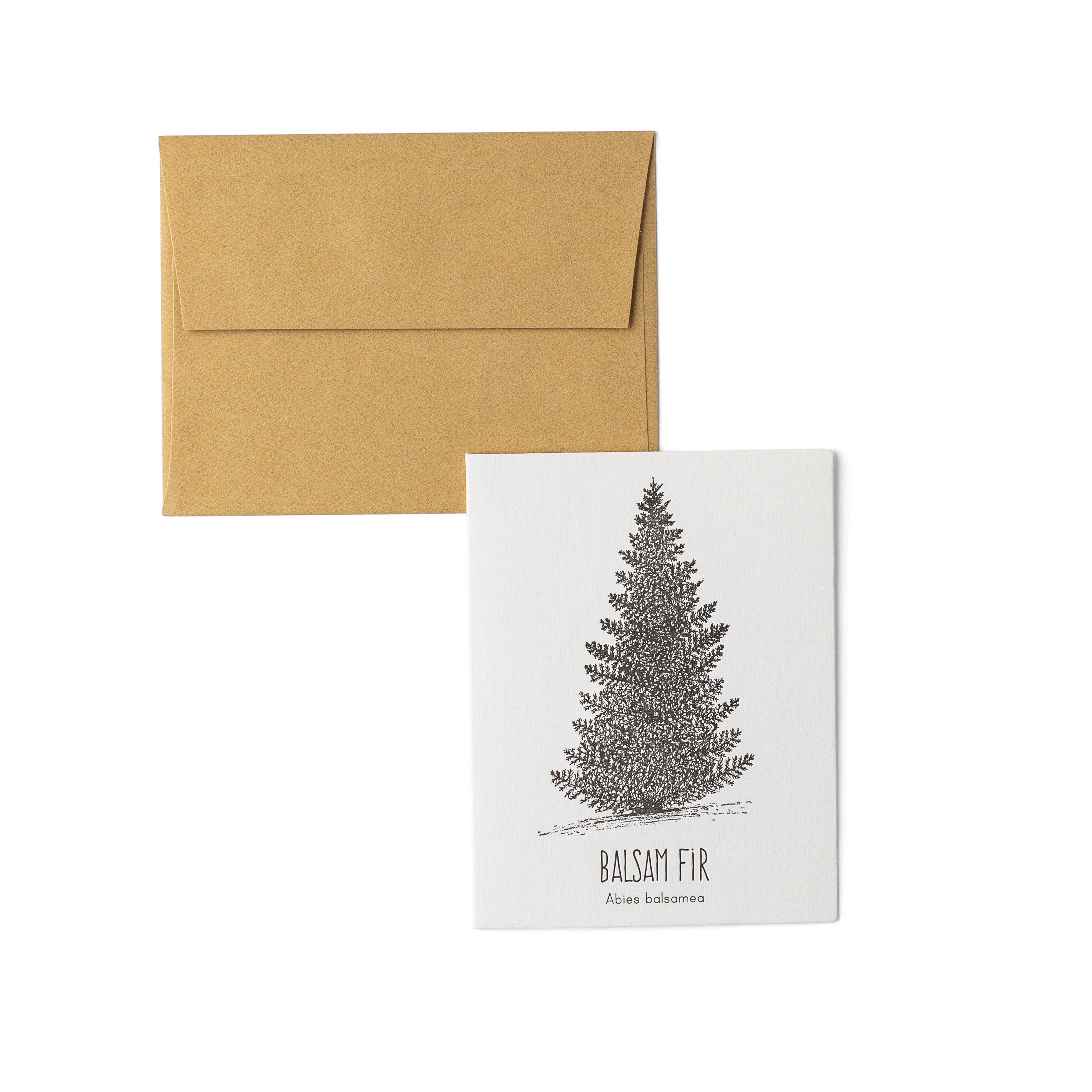 Balsam Fir Letterpress Card