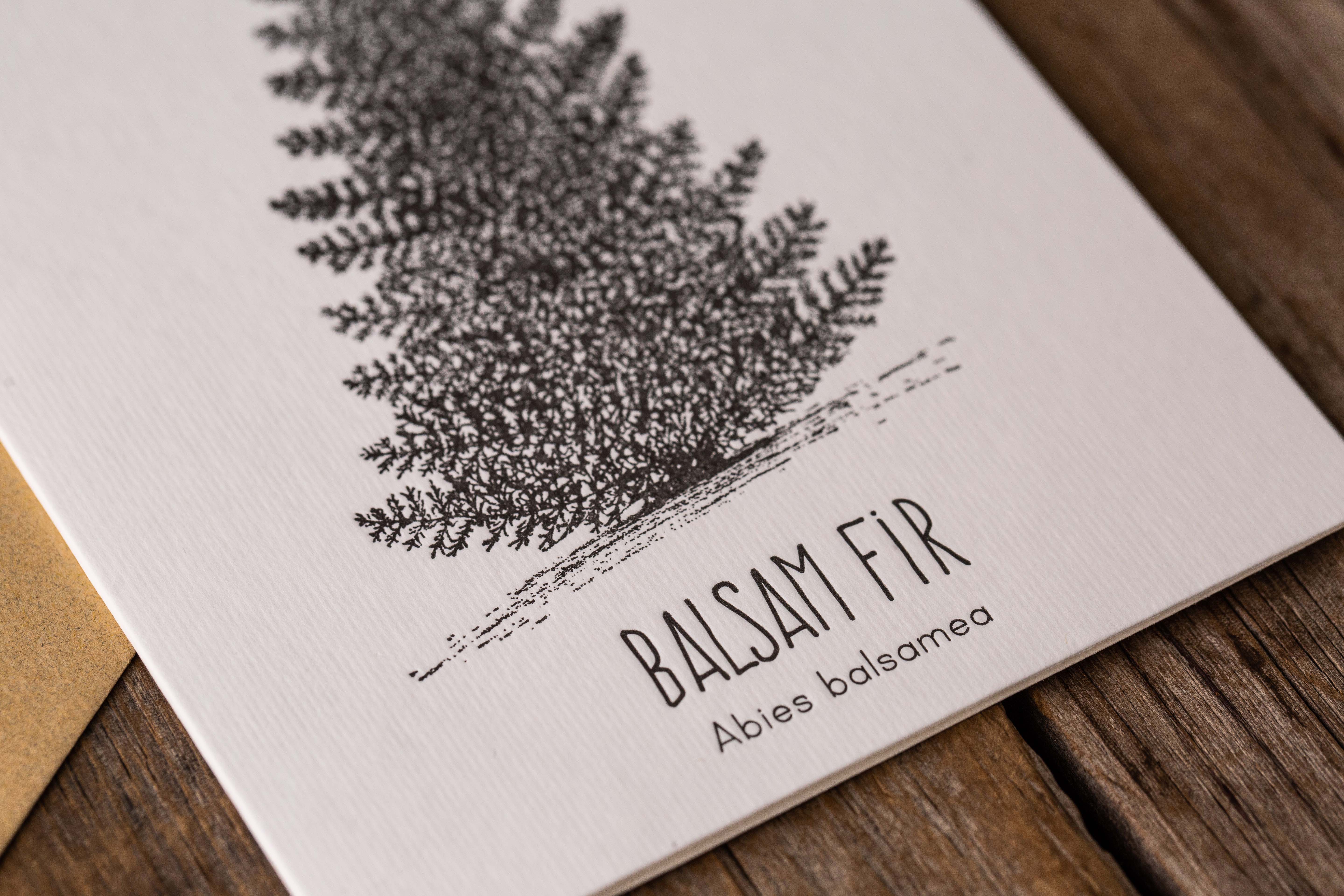 Balsam Fir Letterpress Card