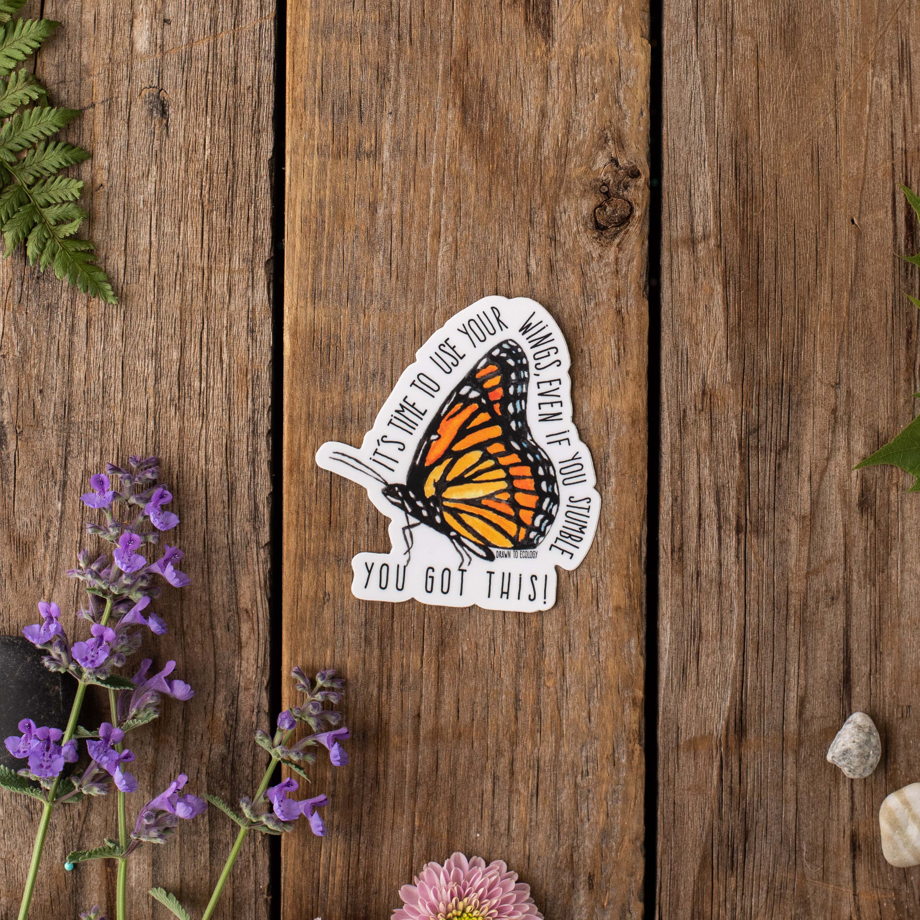 It's time to use your wings, even if you stumble. You got this! Encouragement Butterfly Sticker by Drawn to Ecology