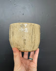 Stump Bowl No1