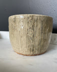 Stump Bowl No1