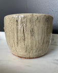 Stump Bowl No1