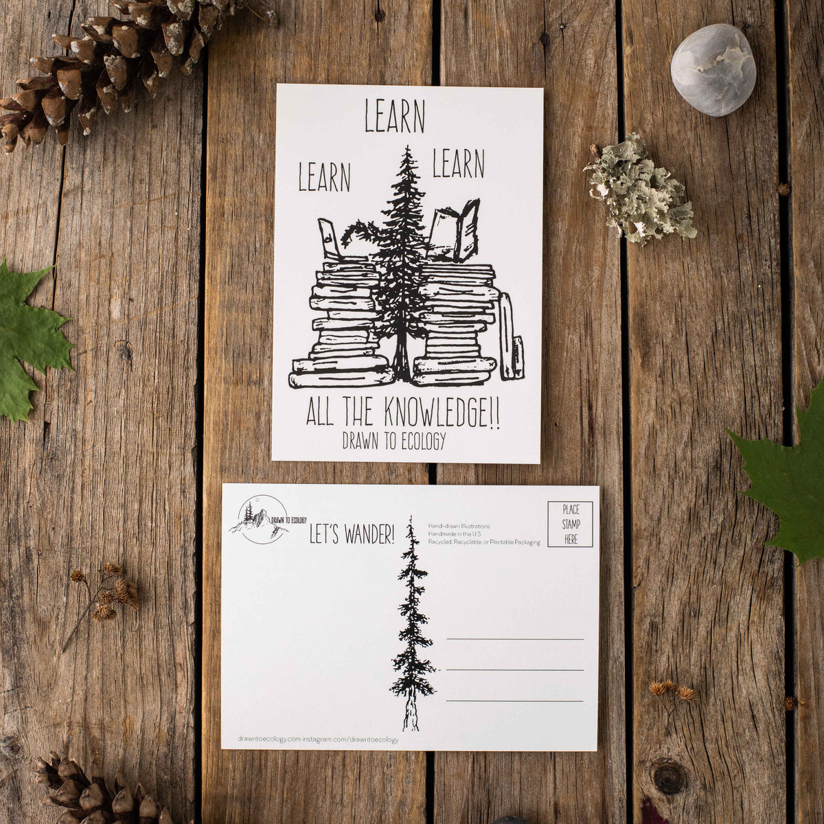 Learning Postcard Learn Postcard – Drawn to Ecology