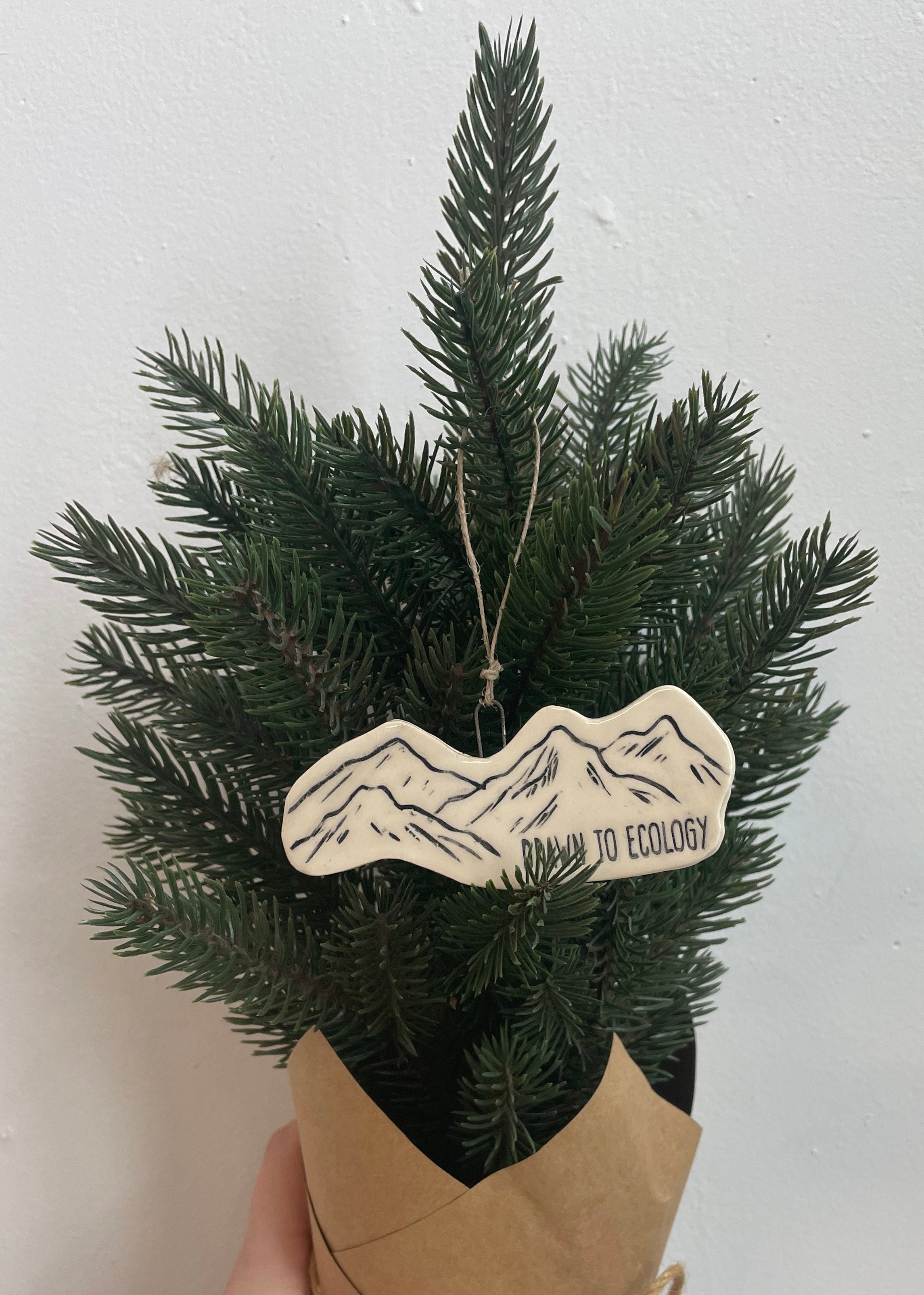 Mountains Ornament