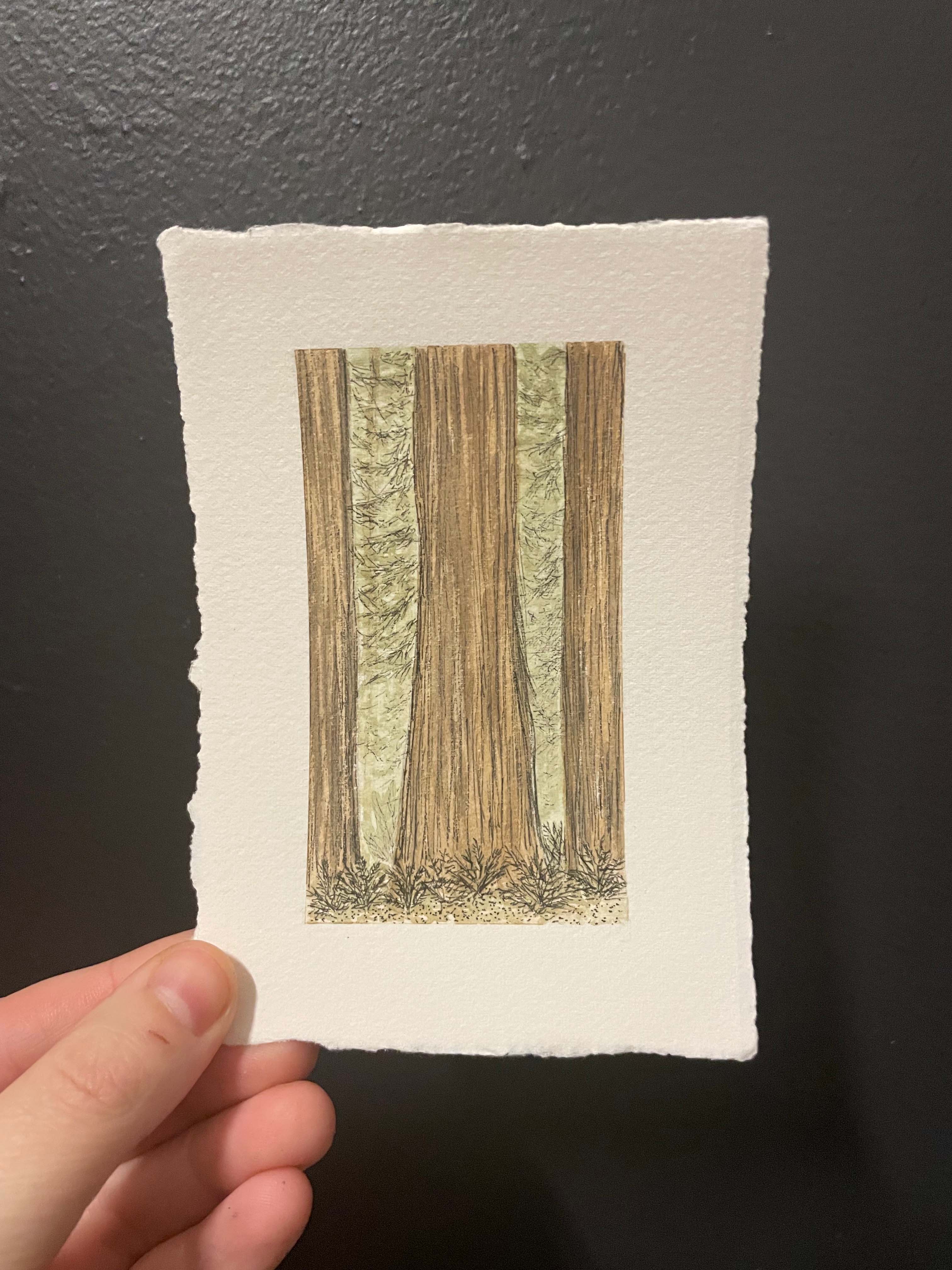 Redwoods National Park Mini Watercolor Original