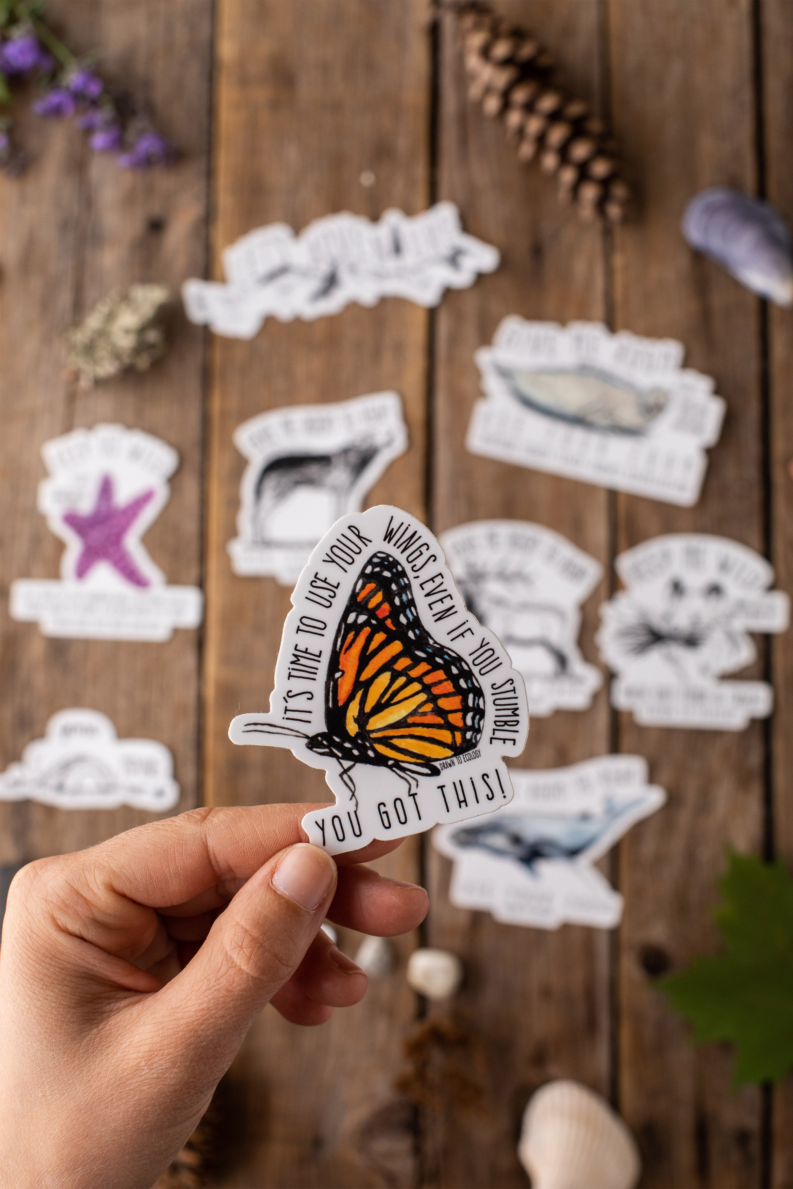 files/Stickers_with_butterfly_in_foreground.jpg