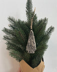 Tree Ornament, No 1