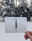 Flume, New Hampshire Postcard