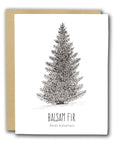 Balsam Fir Letterpress Card