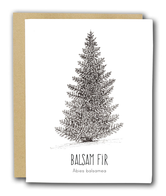 Balsam Fir Letterpress Card
