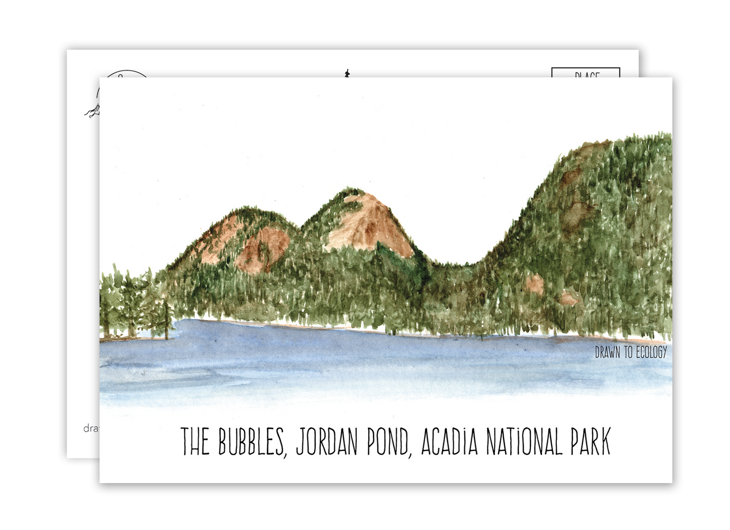 Bubbles Acadia National Park Watercolor Postcard