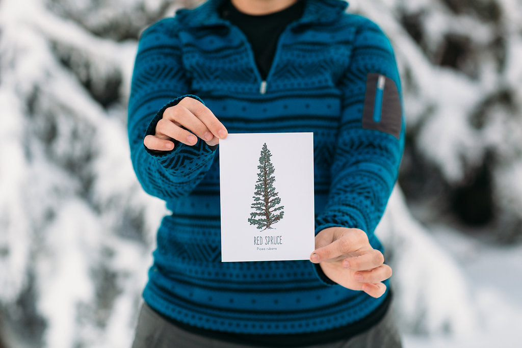 Red Spruce Letterpress Card