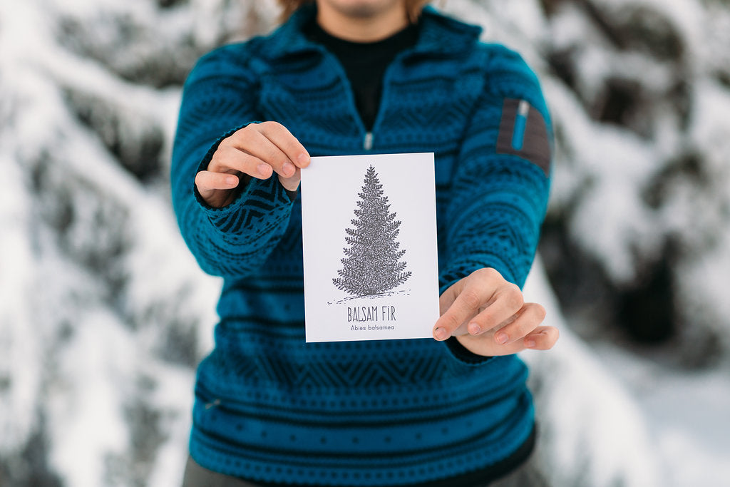 Balsam Fir Letterpress Card