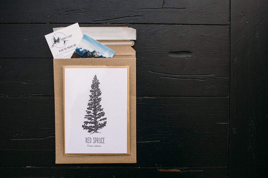 Red Spruce Letterpress Card