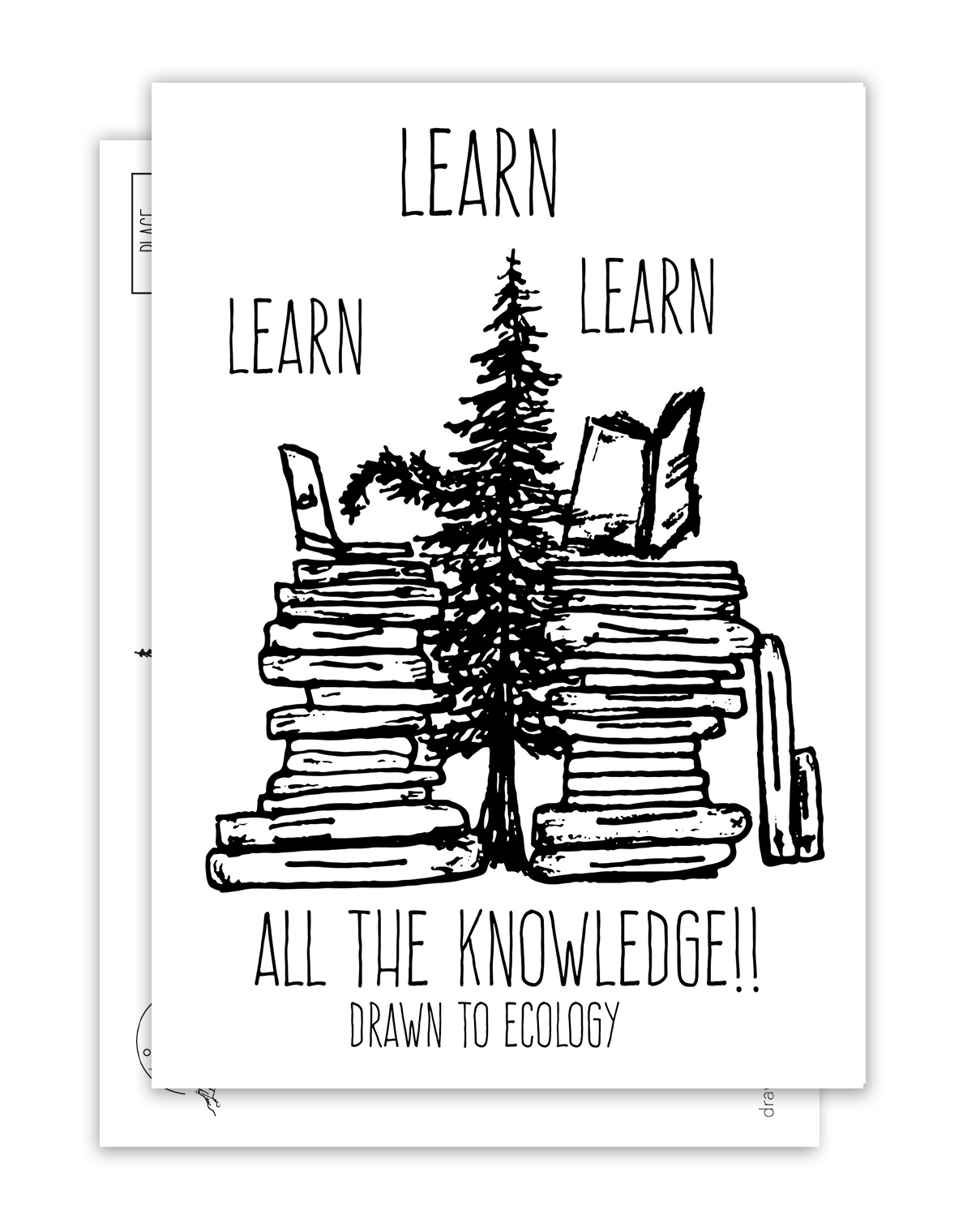 Learning Postcard Learn Postcard – Drawn to Ecology