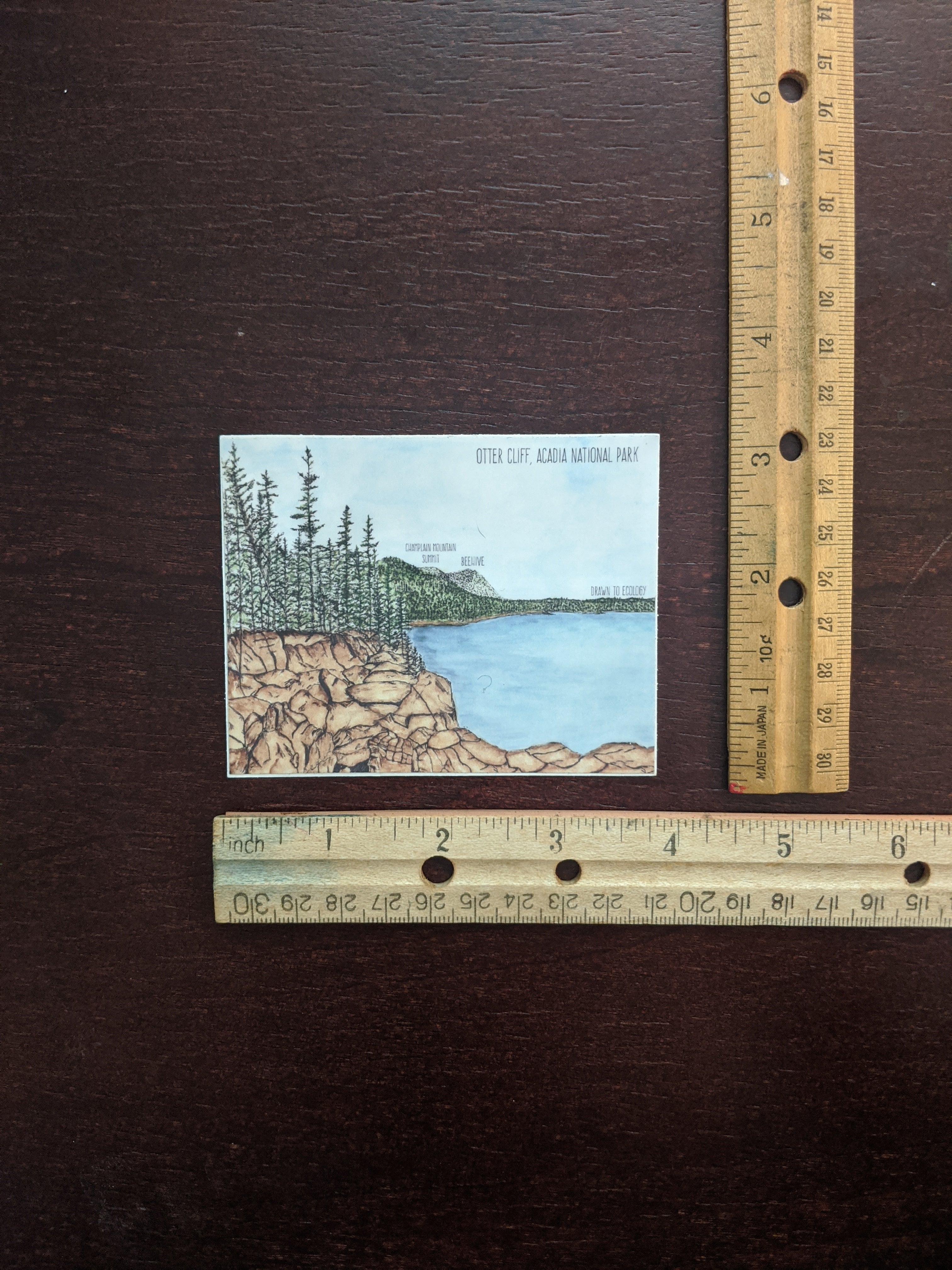 Otter Cliff Acadia National Park Watercolor Sticker