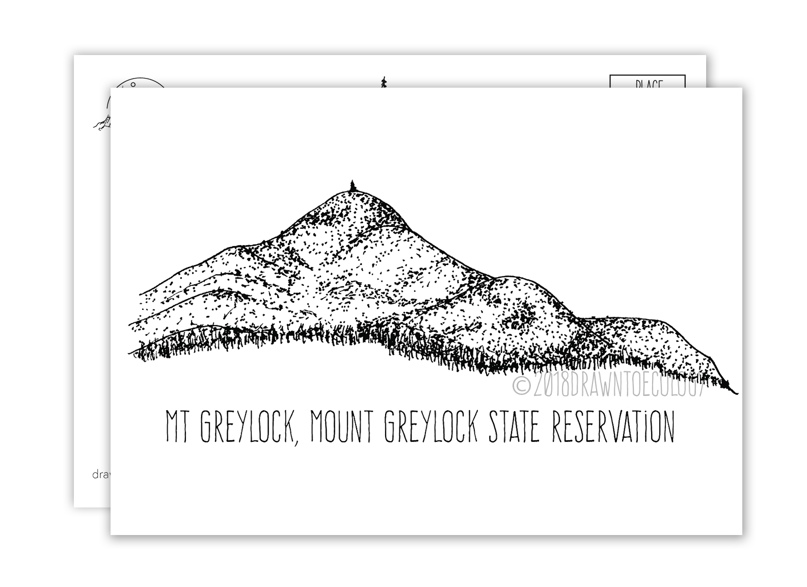 Mt. Greylock Postcard