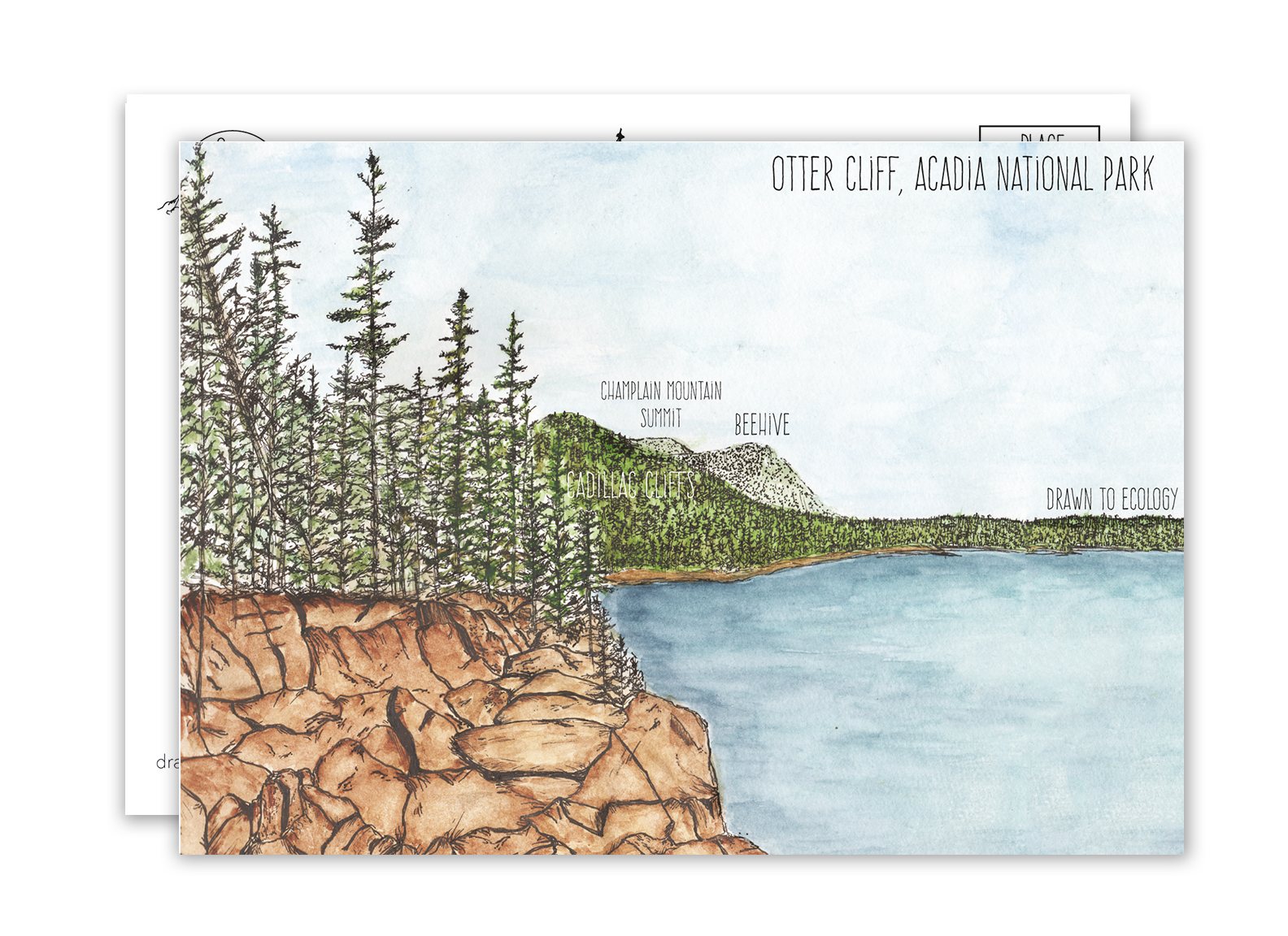 Otter Cliff Acadia National Park Postcard