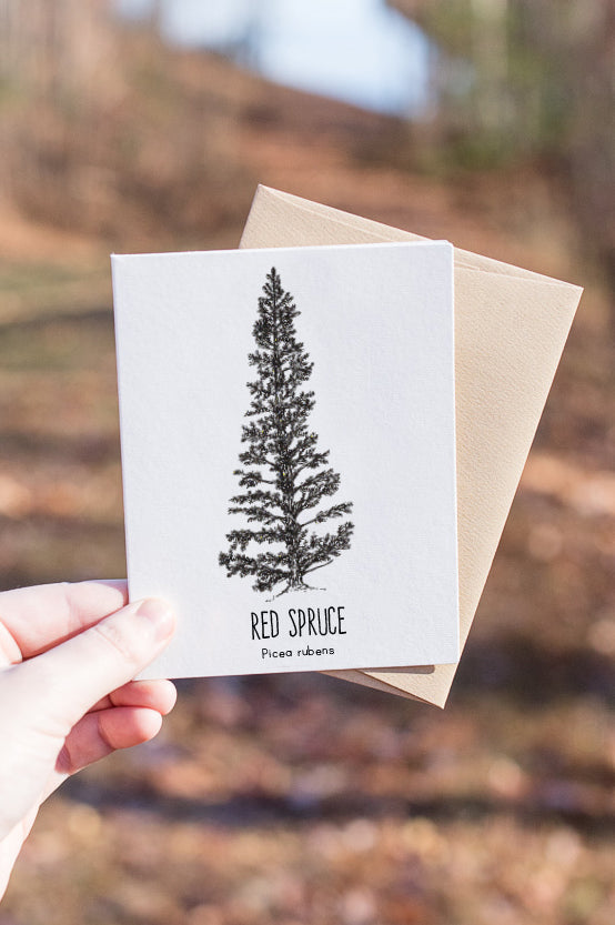 Red Spruce Letterpress Card