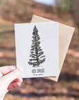 Red Spruce Letterpress Card