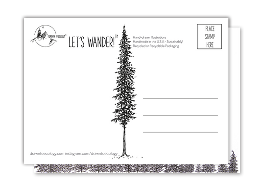 Thank you Trees Postcard