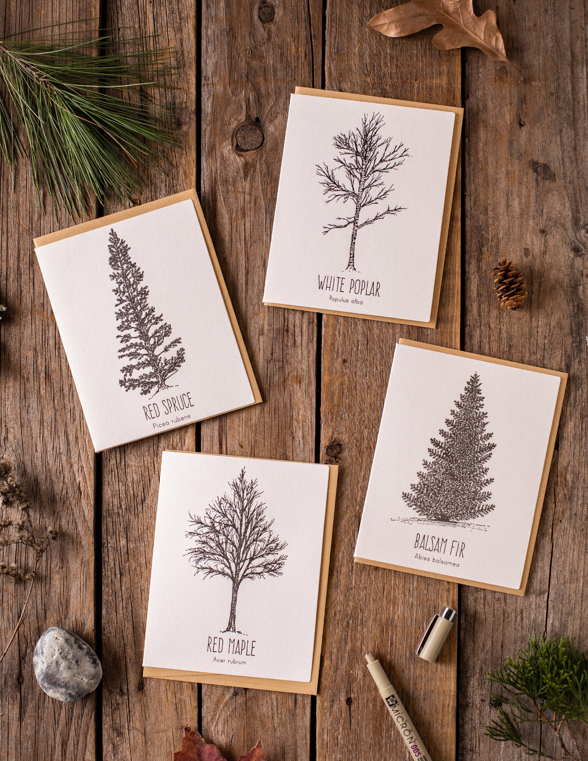 Tree Card Pack – Drawn to Ecology