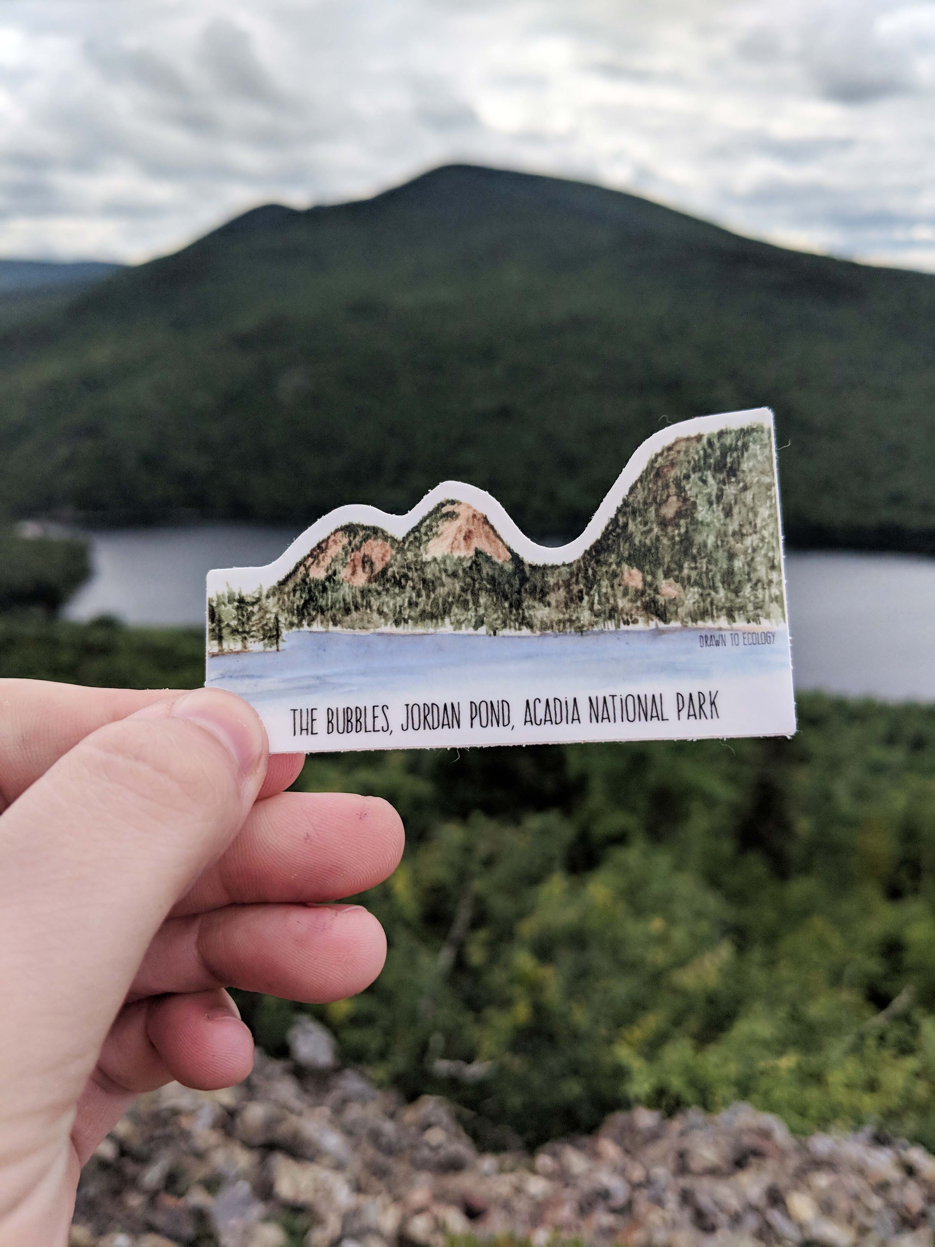 Acadia Bubbles Watercolor Vinyl Sticker