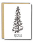 Red Spruce Letterpress Card