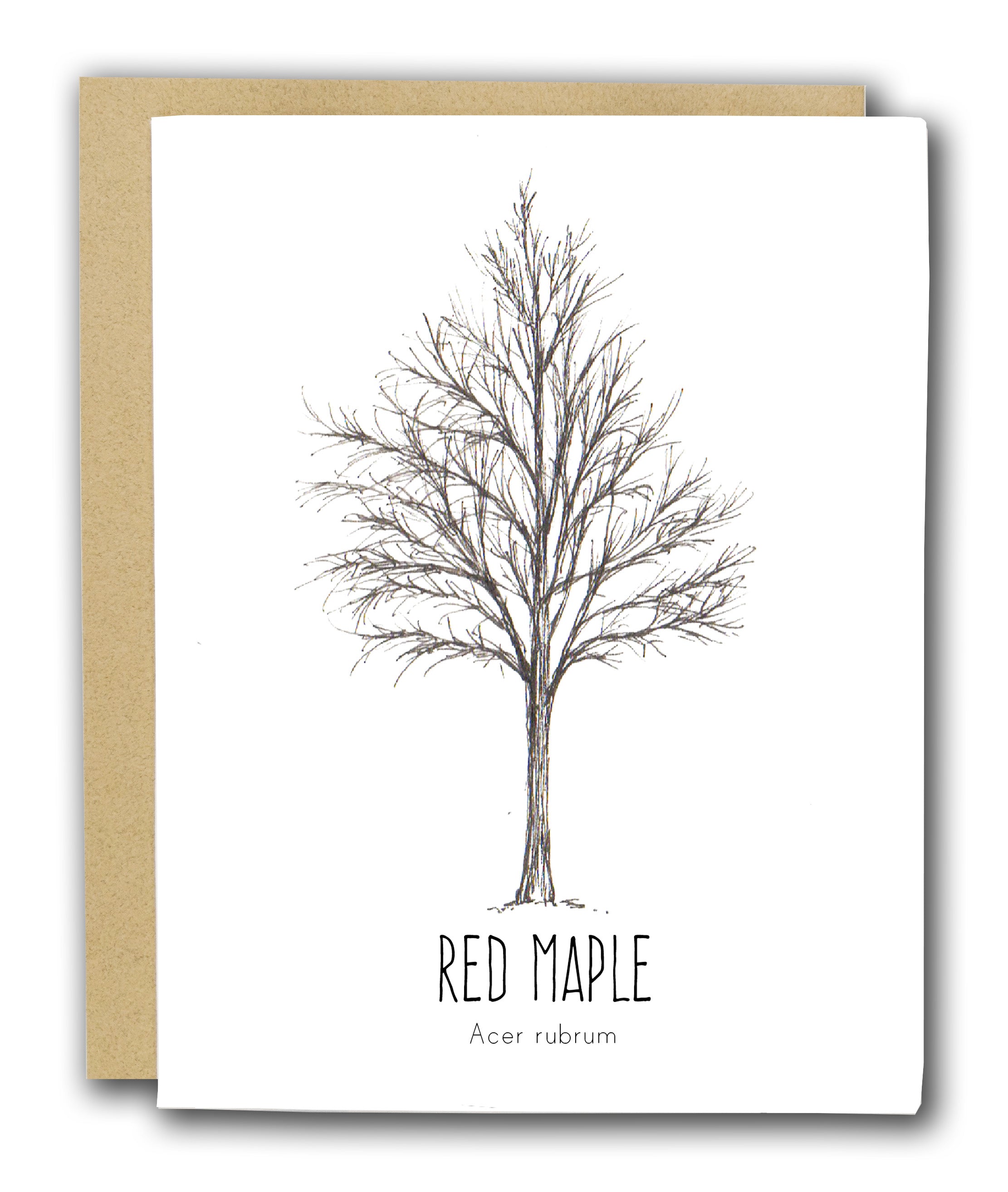 Red Maple Letterpress Card